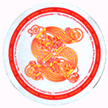 STANTON DSM-7 Slipmat