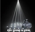 EXP LED Super Flower WHITE