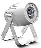 CAMEO LED Q-Spot 40 RGBW WH